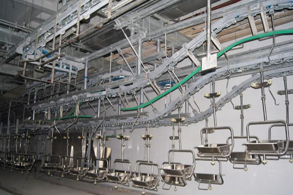 Hanging inspection line